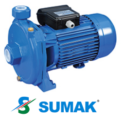 SM220 2.2 HP 220V DÖKÜM GÖVDELİ SANTRİFÜJ POMPA