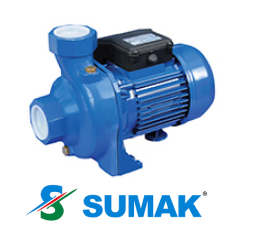 SM 150/2 1.5 HP 220V DÖKÜM GÖVDELİ SANTRİFÜJ POMPA