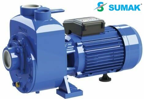 SUMAK, DSMT300/2, 3Hp, 380V Kendinden Klapeli Santrifüj Pompa