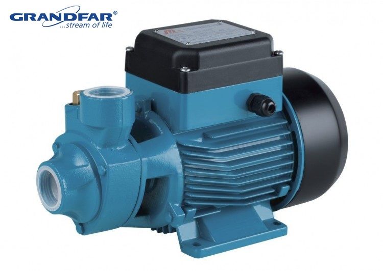 Grandfar QB80 1Hp 220V Döküm Gövdeli Sürtme Fanlı Periferikal Pompa