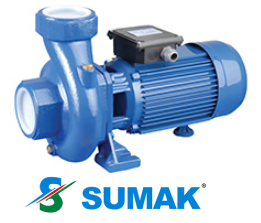 SM 220/3 2.2 HP 220V DÖKÜM GÖVDELİ SANTRİFÜJ POMPA