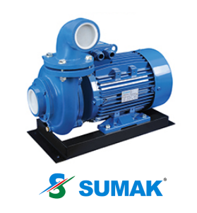 SMT 1500/3 15 HP 380V DÖKÜM GÖVDELİ SANTRİFÜJ POMPA