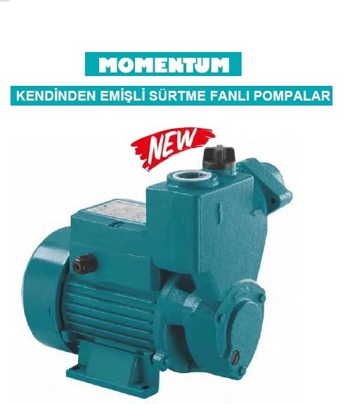 Momentum PKSm75 1Hp 220V Kendinden Emişli Sürtme Fanlı Pompa
