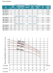 Empo EMH - 90 X 2/6 T       2X3 Hp 380V   İki Pompalı Dikey Milli  Hidrofor