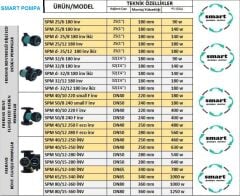SMART SPM 40/12 250 F eco inv  DN40  FREKANS KONTROLLÜ FLANŞLI ECO DESIGN SİRKÜLASYON POMPASI