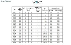 Wenta  WE-1500  1500 Litre  16 Bar  Dik Ayaklı Hidrofor ve Genleşme Tankı (Manometreli)