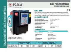 Prana  HP-F 100/80-350    DN 100  220V   Frekans Kontrollü Flanşlı Sirkülasyon Pompa