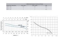 Aquastrong EJWm /10 H       0.75kW 220V  Döküm Gövdeli Kendinden Emişli  Jet Pompa
