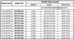 Alarko  6013/09 Kps  10Hp  6'' Paslanmaz Derin Kuyu Dalgıç Pompa (Motor+Pompa) ALK-KPS Serisi