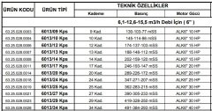 Alarko  6013/12 Kps  15Hp  6'' Paslanmaz Derin Kuyu Dalgıç Pompa (Motor+Pompa) ALK-KPS Serisi