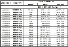 Alarko  6046/12 Kps  25Hp  6'' Paslanmaz Derin Kuyu Dalgıç Pompa (Motor+Pompa) ALK-KPS Serisi