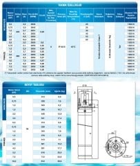 Alarko   4 SD 1500 S       2Hp  220V    4'' Derin Kuyu Dalgıç Motor (Tek Motor)