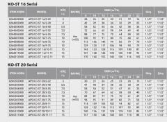 Etna APS KO-ST 12/4-30  4Hp 380V Komple Paslanmaz Çelik Dik Milli Çok Kademeli Kompakt Yapılı Yüksek Verimli Santrifüj Pompa - Aisi 304 - (2900 d/dk)