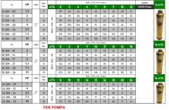 Vortex 6 GM - 19  2Hp  4\'\' Noril Fanlı Krom Başlıklı Derin Kuyu Çıplak Tek Dalgıç Pompa (Pompa Kademesi)