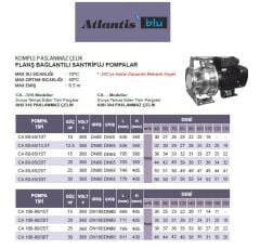 ATLANTİS BLU  CA 65-40/10T/316 - 10 HP 380V KOMPLE PASLANMAZ ÇELİK FLANŞ  BAĞLANTILI SANTRİFÜJ POMPA