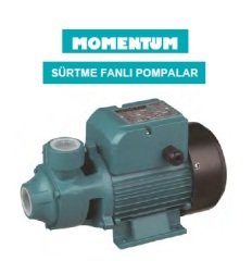 Momentum  PK80AT  1Hp  380V  Preferikal Sürtme Fanlı Pompa