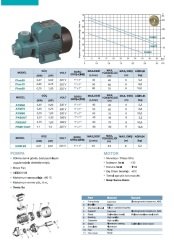 Momentum  PK80AT  1Hp  380V  Preferikal Sürtme Fanlı Pompa