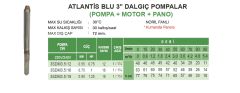 Atlantis Blu 3SDM3.5/16  1Hp 220V   3'' Dalgıç Pompa (pompa, motor, pano)