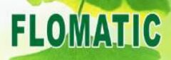 Flomatic Jet 100 M 1Hp 220V  Jet Pompalı 24 Litre Yatık Tanklı Paket Hidrofor